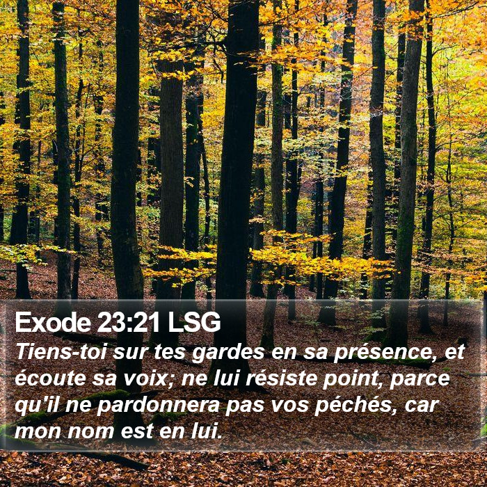 Exode 23:21 LSG Bible Study