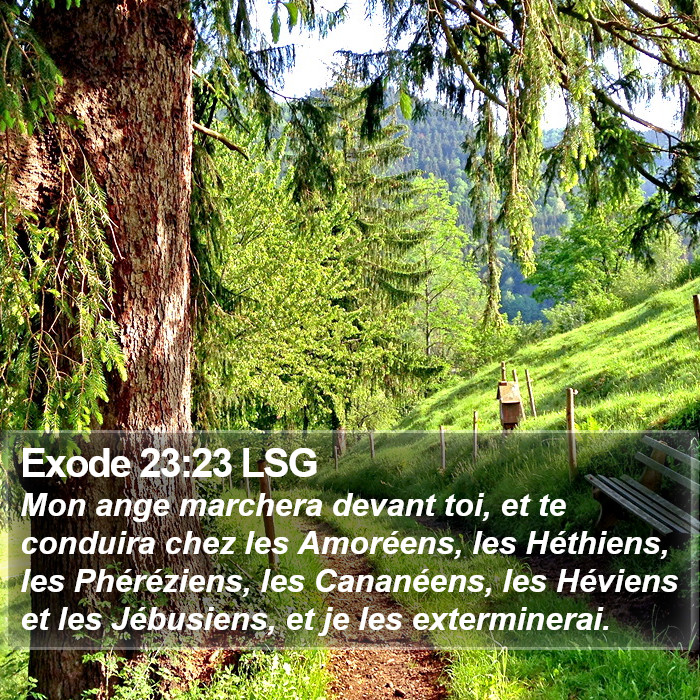 Exode 23:23 LSG Bible Study
