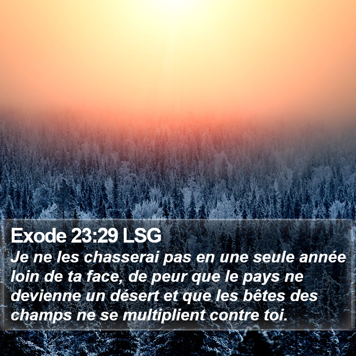 Exode 23:29 LSG Bible Study