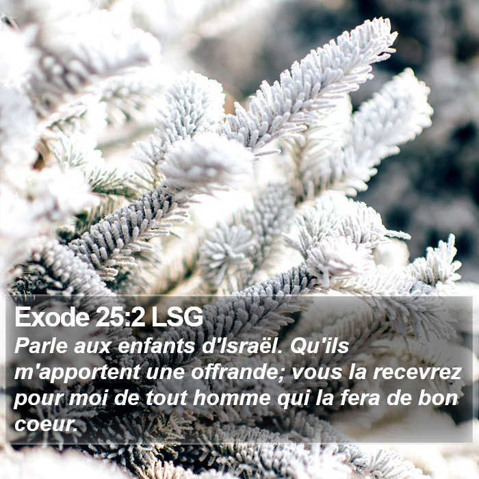 Exode 25:2 LSG Bible Study