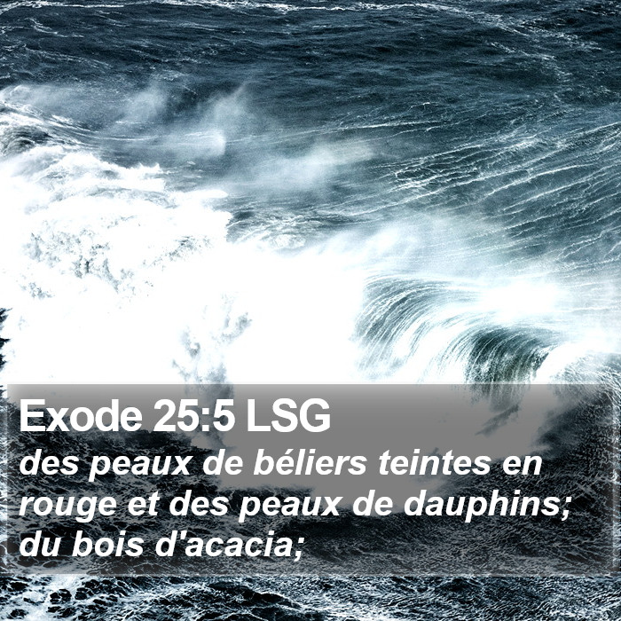 Exode 25:5 LSG Bible Study