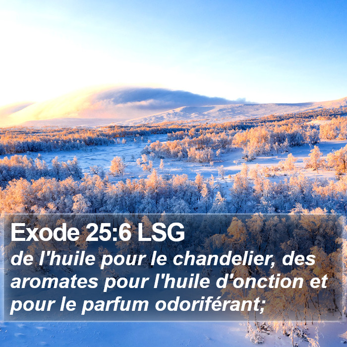 Exode 25:6 LSG Bible Study