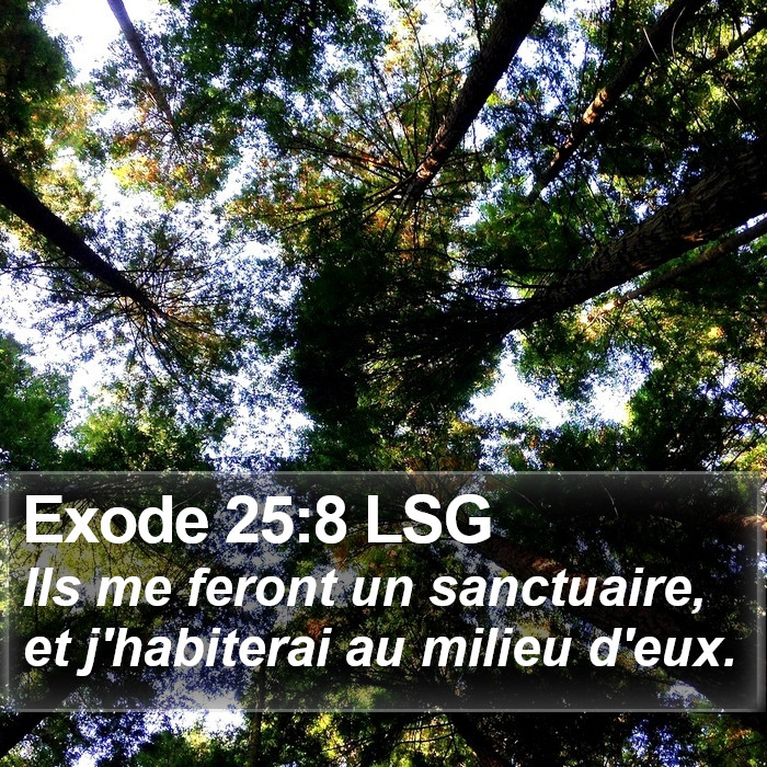 Exode 25:8 LSG Bible Study