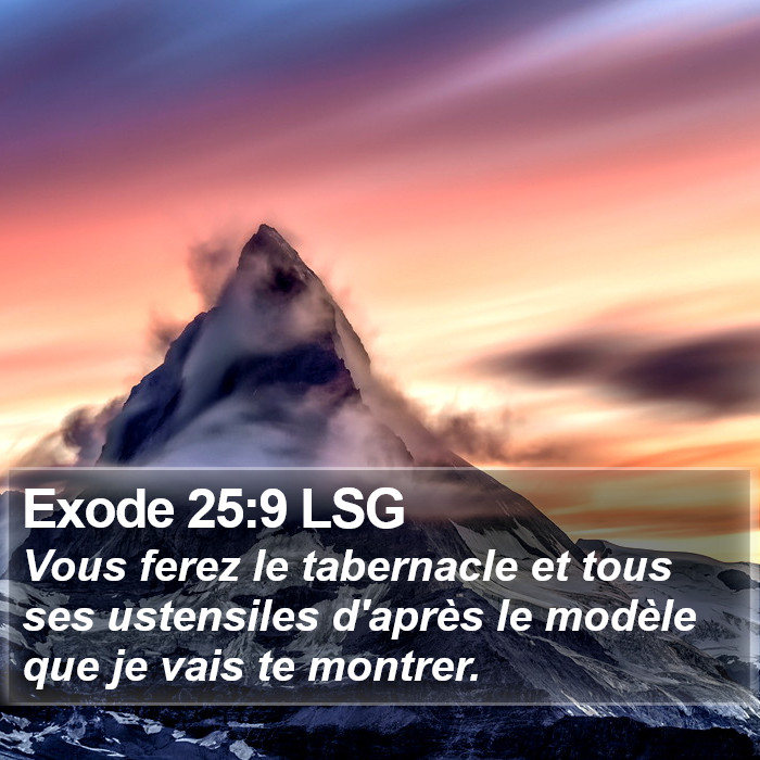 Exode 25:9 LSG Bible Study