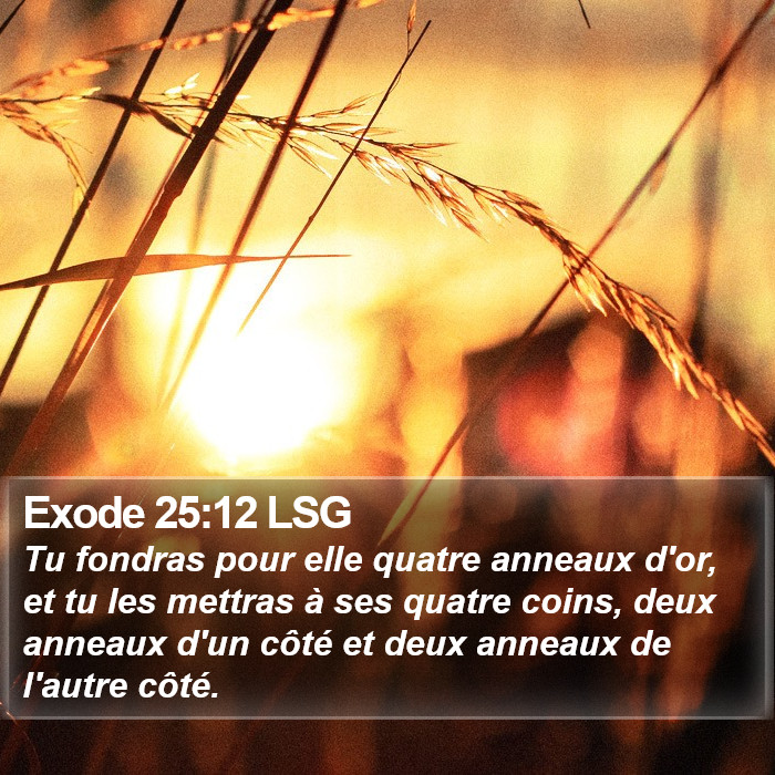 Exode 25:12 LSG Bible Study