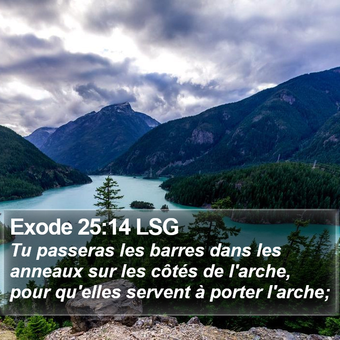 Exode 25:14 LSG Bible Study