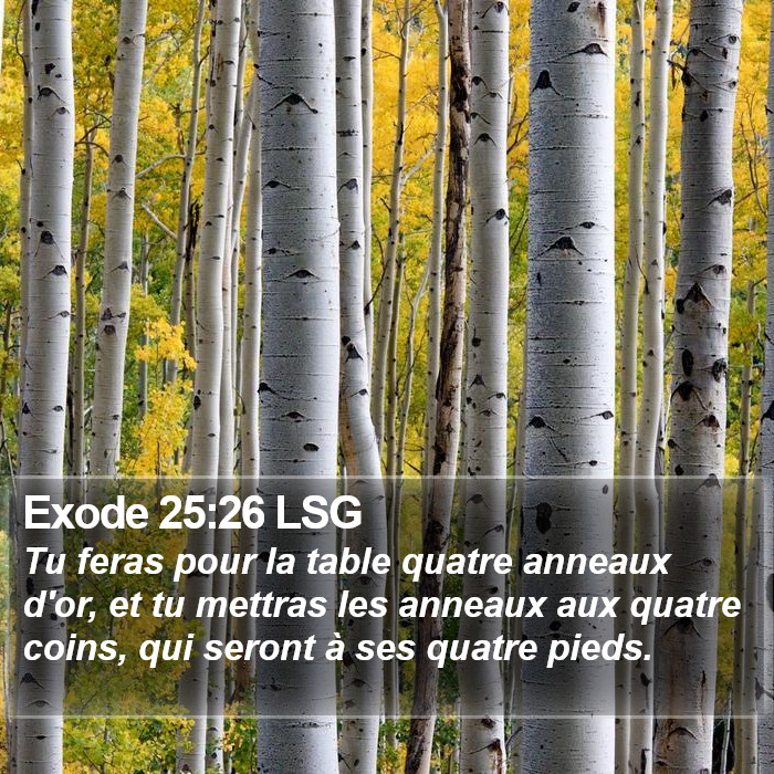 Exode 25:26 LSG Bible Study