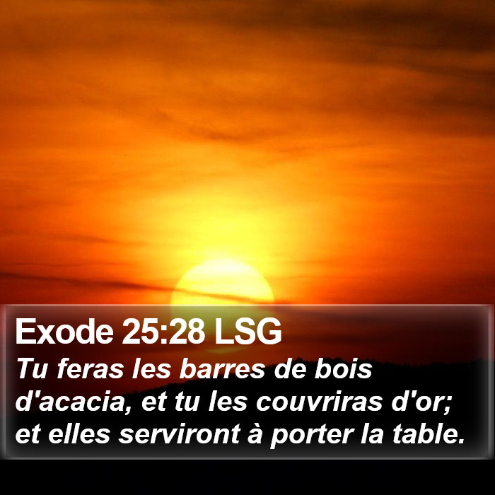 Exode 25:28 LSG Bible Study