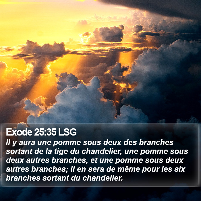 Exode 25:35 LSG Bible Study