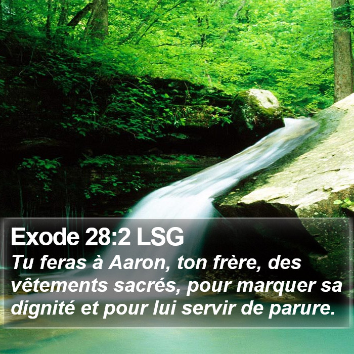 Exode 28:2 LSG Bible Study