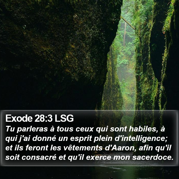 Exode 28:3 LSG Bible Study