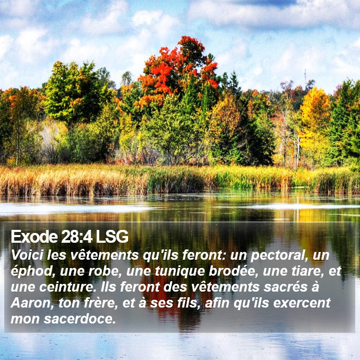 Exode 28:4 LSG Bible Study