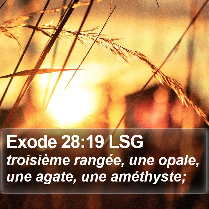 Exode 28:19 LSG Bible Study