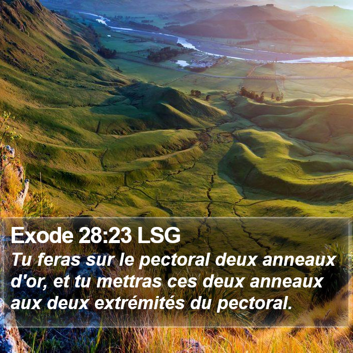 Exode 28:23 LSG Bible Study