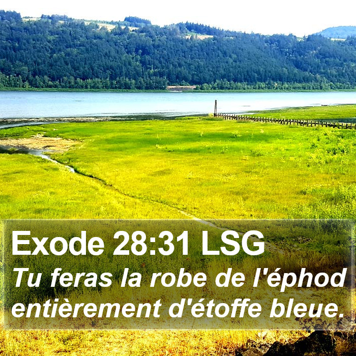 Exode 28:31 LSG Bible Study