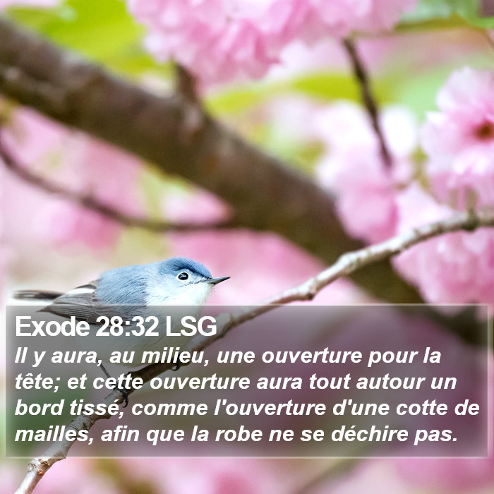 Exode 28:32 LSG Bible Study