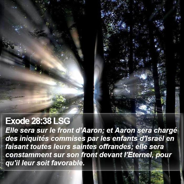 Exode 28:38 LSG Bible Study