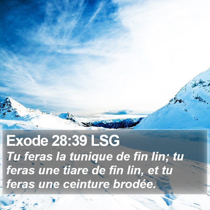 Exode 28:39 LSG Bible Study