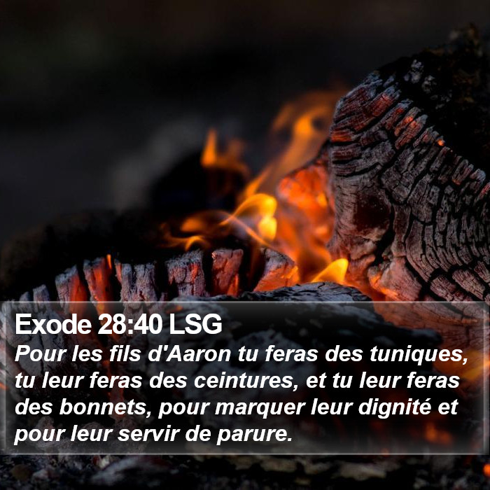 Exode 28:40 LSG Bible Study