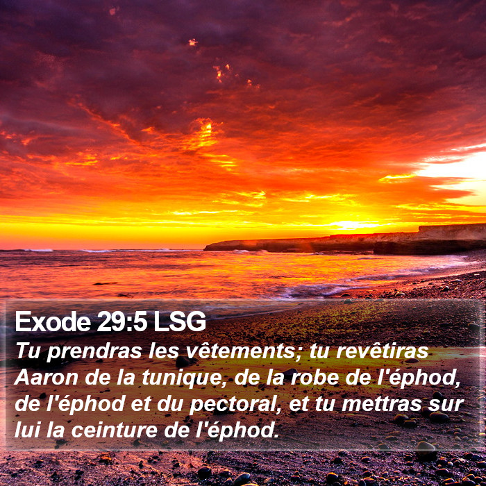 Exode 29:5 LSG Bible Study