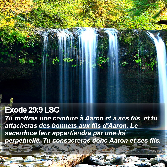 Exode 29:9 LSG Bible Study
