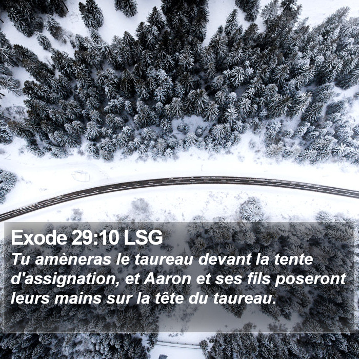 Exode 29:10 LSG Bible Study
