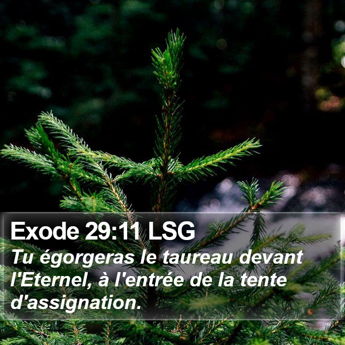Exode 29:11 LSG Bible Study