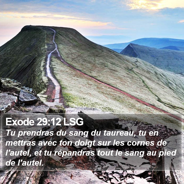 Exode 29:12 LSG Bible Study