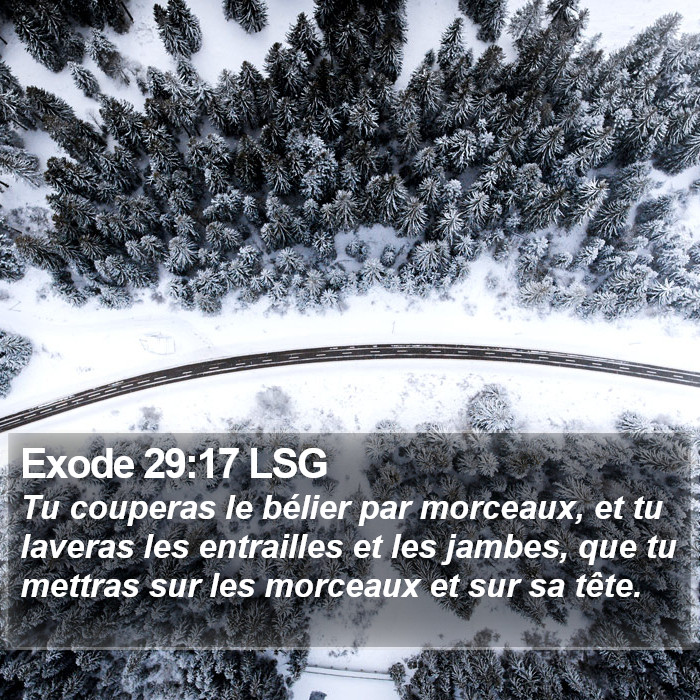 Exode 29:17 LSG Bible Study