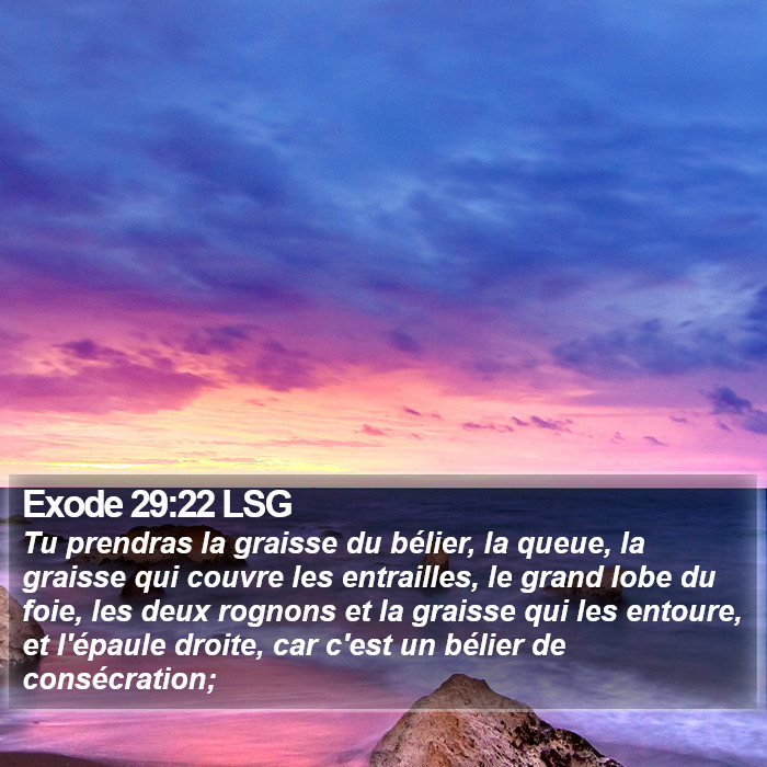 Exode 29:22 LSG Bible Study
