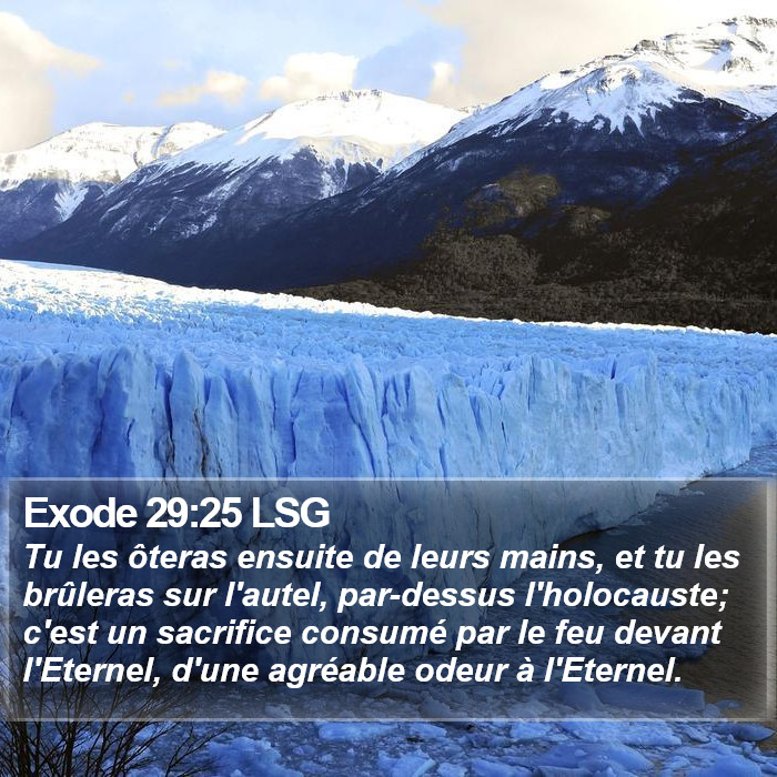 Exode 29:25 LSG Bible Study