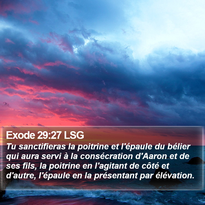 Exode 29:27 LSG Bible Study