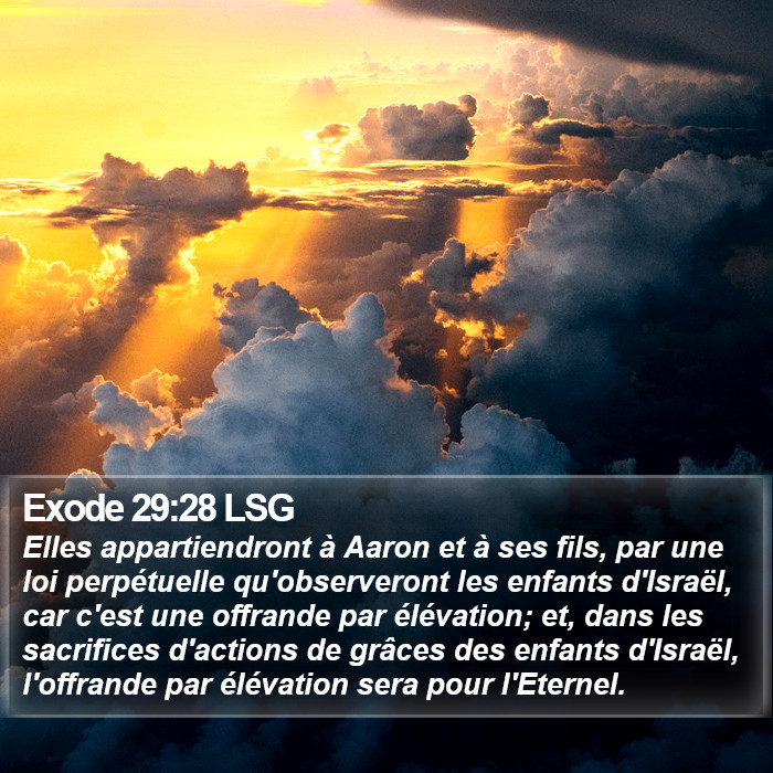 Exode 29:28 LSG Bible Study