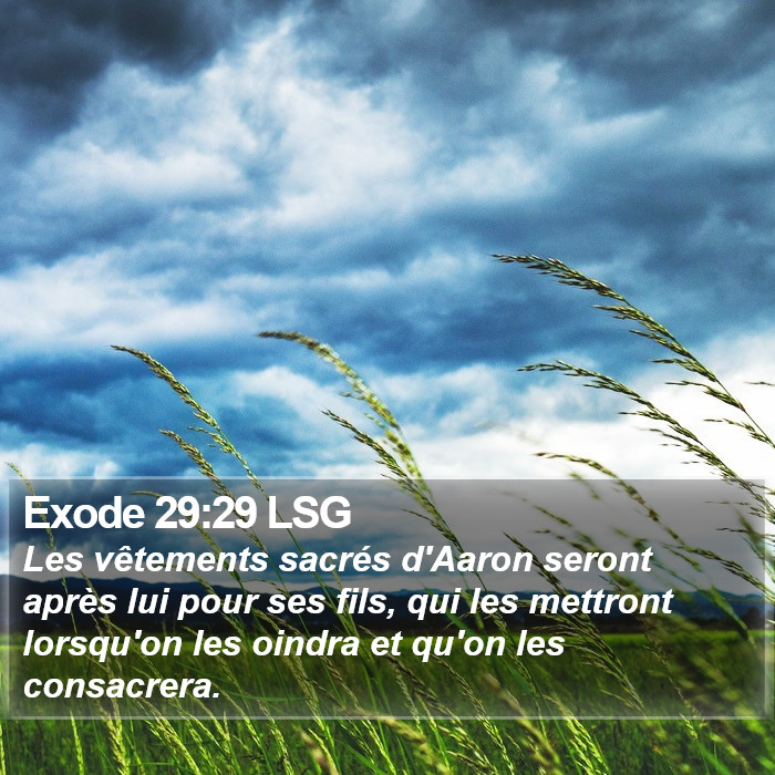 Exode 29:29 LSG Bible Study