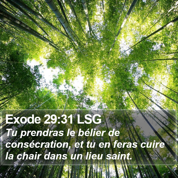 Exode 29:31 LSG Bible Study