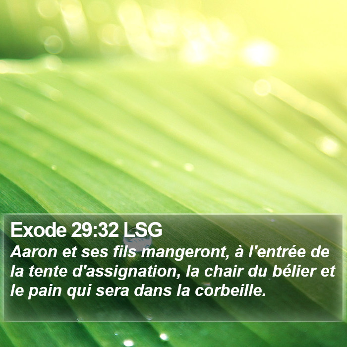 Exode 29:32 LSG Bible Study