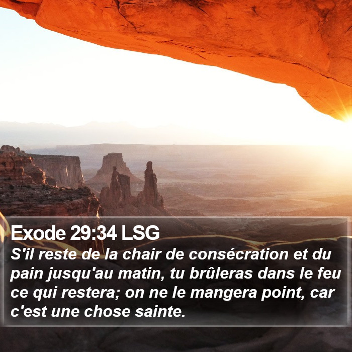 Exode 29:34 LSG Bible Study