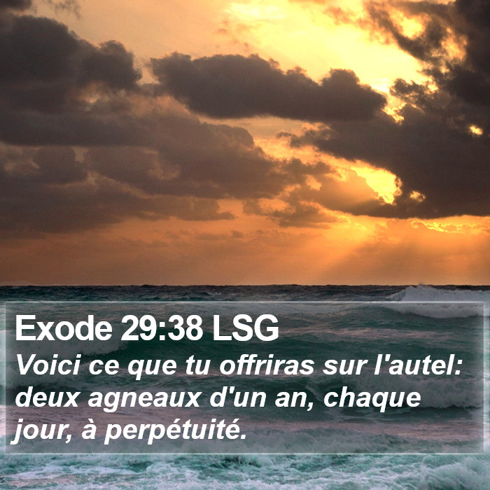 Exode 29:38 LSG Bible Study