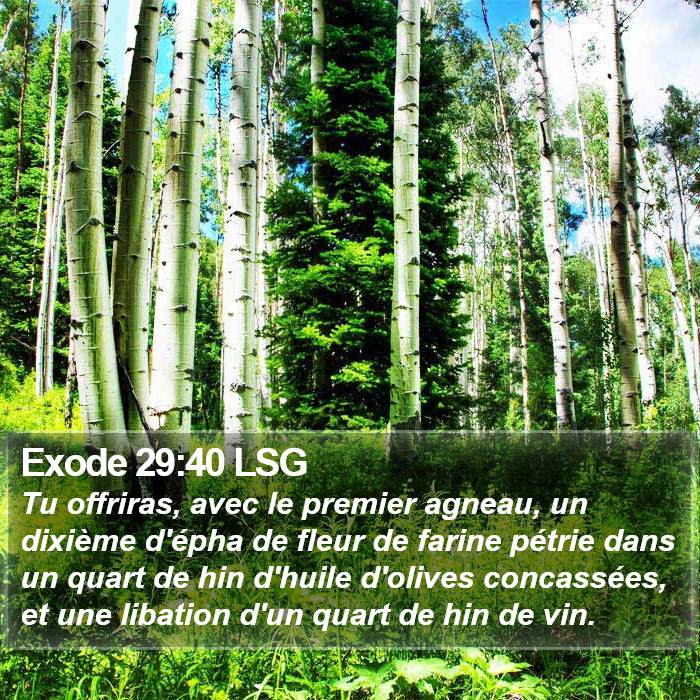 Exode 29:40 LSG Bible Study