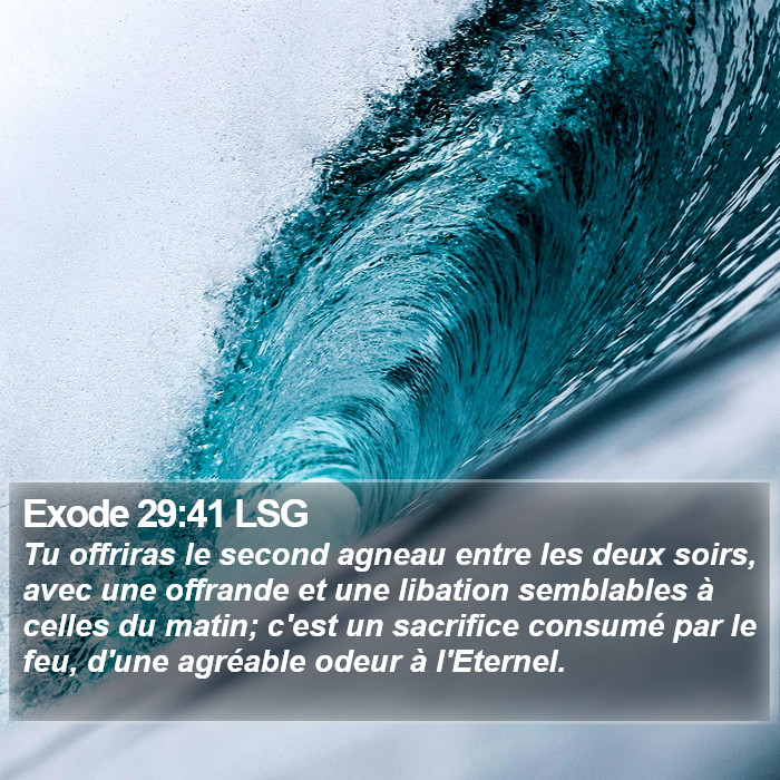 Exode 29:41 LSG Bible Study