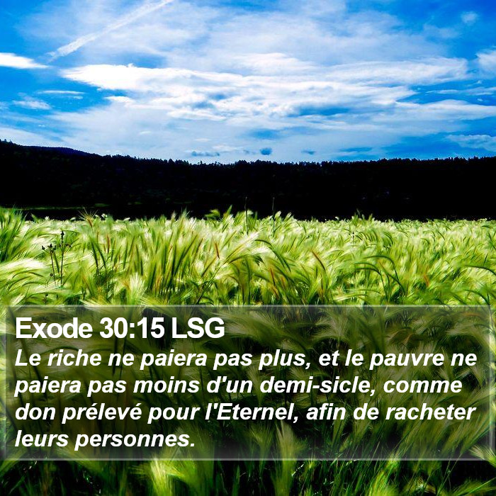 Exode 30:15 LSG Bible Study