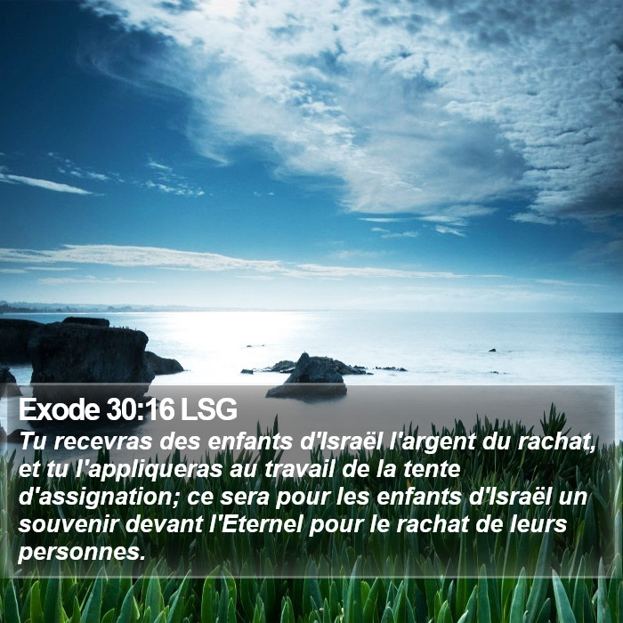 Exode 30:16 LSG Bible Study