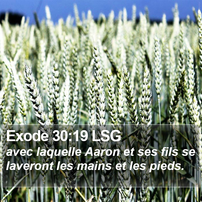 Exode 30:19 LSG Bible Study