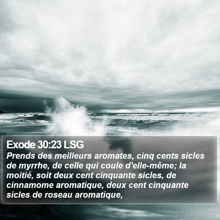 Exode 30:23 LSG Bible Study