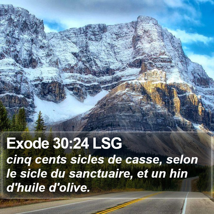Exode 30:24 LSG Bible Study