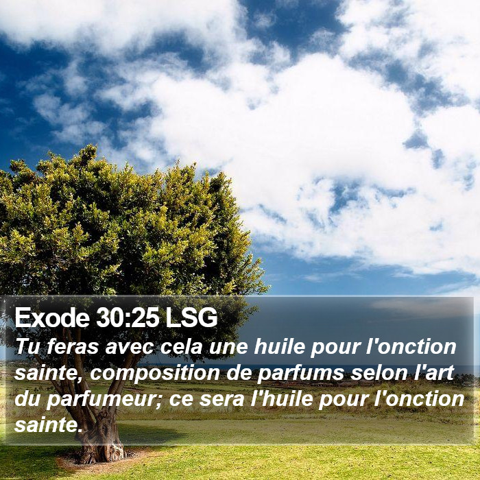 Exode 30:25 LSG Bible Study
