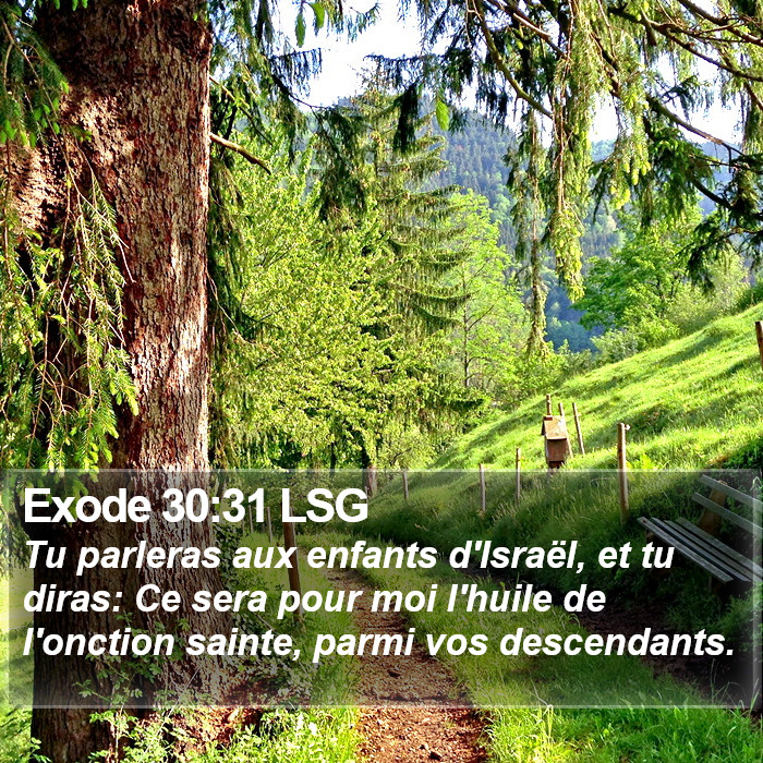 Exode 30:31 LSG Bible Study