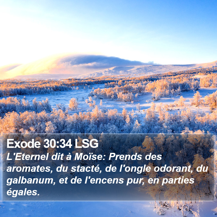 Exode 30:34 LSG Bible Study