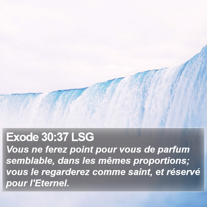 Exode 30:37 LSG Bible Study