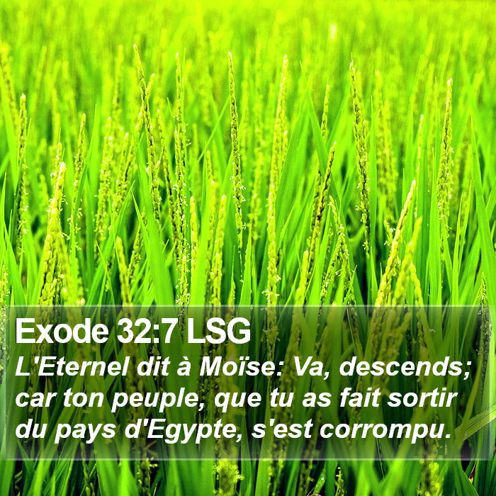 Exode 32:7 LSG Bible Study